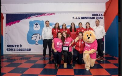 Bear Volley 2024